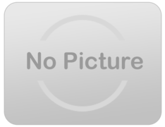 24' Tropical Waterslide